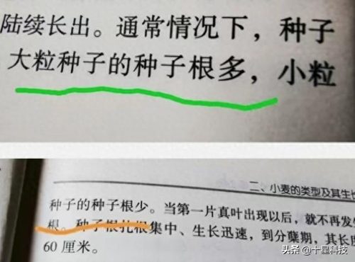 十大种业排行榜前十名(河北十大种业公司)插图3
