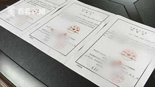 泗县十大网红排行榜视频(泗县十大高档小区)插图2