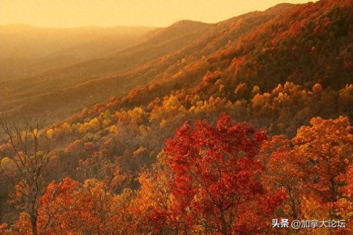 加拿大野外旅游排名前十(加拿大必去景点排名)