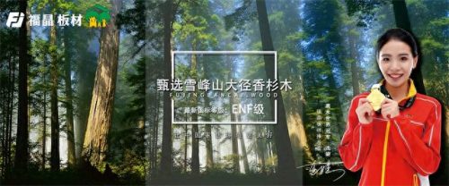 全国十大板材品牌排行榜2022(全国十大板材品牌排行榜及价格)