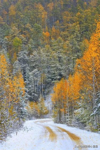 人像摄影十大城市排行榜(全国十大摄影城市)插图15 人像摄影十大城市排行榜(全国十大摄影城市)插图15