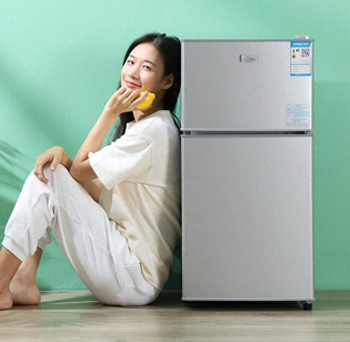 国内十大名牌冰柜排行榜(十大冰柜排行榜最新)