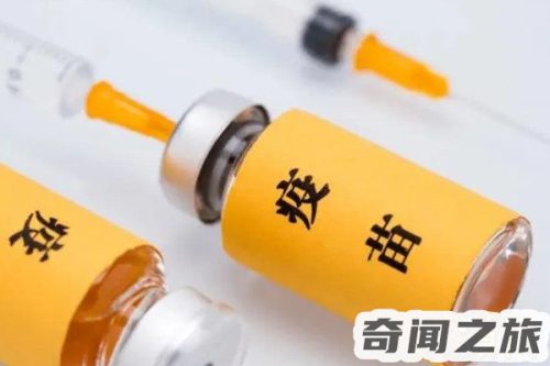 二价进口疫苗三针一共多少钱(建议不要盲目打4价)