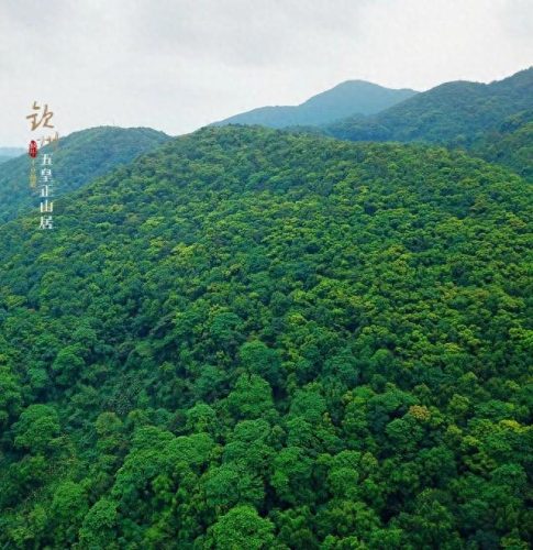 丘山整形医院排名前十(中翰整形美容医院)插图18