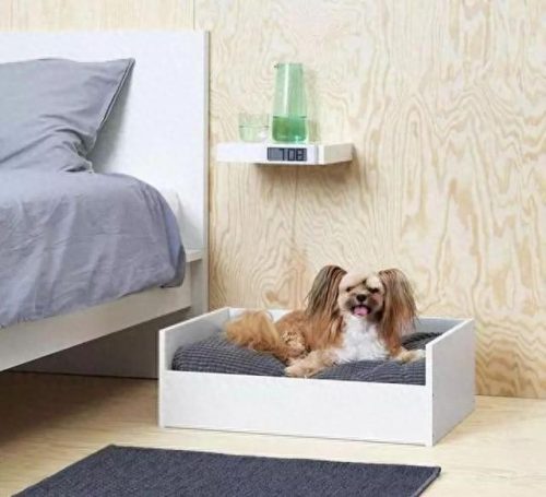 中国猫窝垫十大品牌排行榜(中国猫窝垫十大品牌)插图33 中国猫窝垫十大品牌排行榜(中国猫窝垫十大品牌)插图33