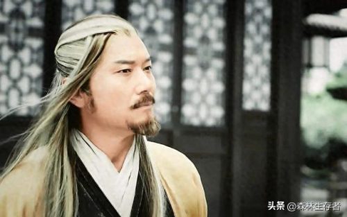 神雕侠侣的武功排名前十(神雕侠侣前50武功排名)插图2 神雕侠侣的武功排名前十(神雕侠侣前50武功排名)插图2