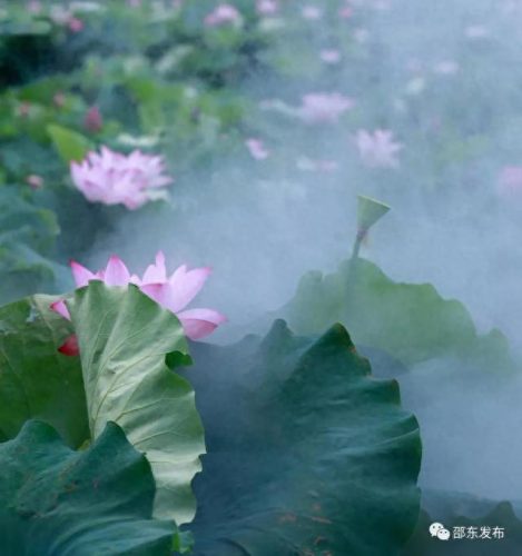 邵东十大农庄排行榜前十名(邵东农家乐十大排名)插图10