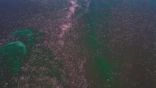 世界十大神剧经典排行榜(全球十大新剧排行榜)插图19 世界十大神剧经典排行榜(全球十大新剧排行榜)插图19