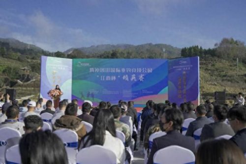 云南文旅行业排名前十(云南文旅厅最新消息)插图6 云南文旅行业排名前十(云南文旅厅最新消息)插图6