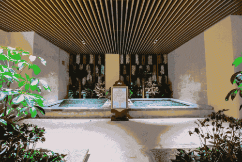 济南十大温泉排行榜前十名(济南泡温泉最好的地方)插图14 济南十大温泉排行榜前十名(济南泡温泉最好的地方)插图14