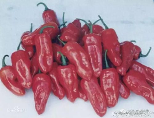 重庆无烟火锅厂家排名前十(火锅十大品牌重庆)插图6
