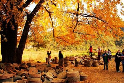 随州十大景点排行榜前十名(随州十大免费景点)插图3