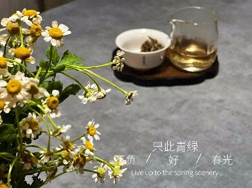 十大易错的茶叶品牌排行榜(各大品牌茶叶排名一览表)插图 十大易错的茶叶品牌排行榜(各大品牌茶叶排名一览表)插图