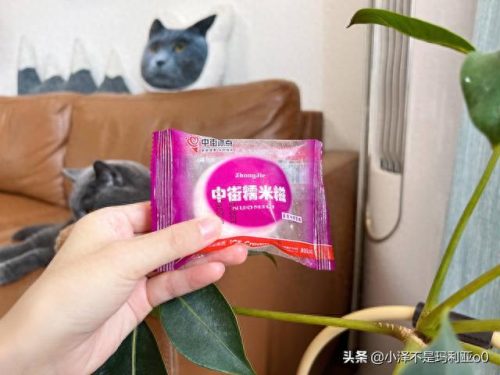 十大高价雪糕排行榜实体店(十大宝藏雪糕盘点)插图15 十大高价雪糕排行榜实体店(十大宝藏雪糕盘点)插图15