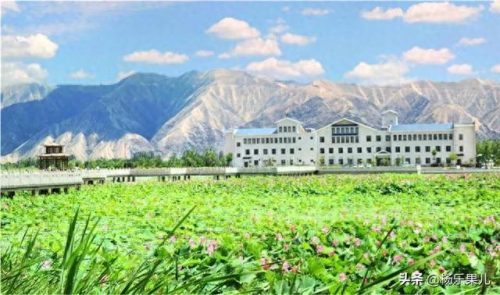 白银市十大景区排行榜(甘肃白银十大民宿)插图21