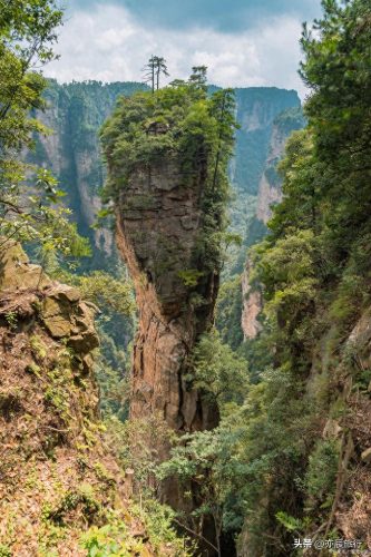重庆周边一日游(重庆主城带小孩一日游)插图6 重庆周边一日游(重庆主城带小孩一日游)插图6
