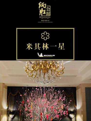 广东十大连锁茶庄店排行榜(老字号茶庄排行榜)插图6