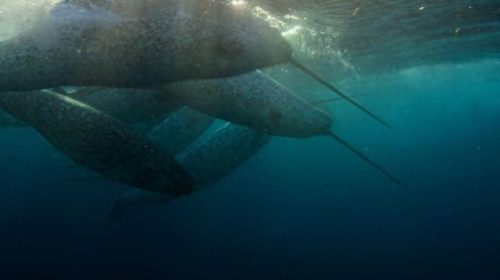 世界十大神剧经典排行榜(全球十大新剧排行榜)插图23 世界十大神剧经典排行榜(全球十大新剧排行榜)插图23