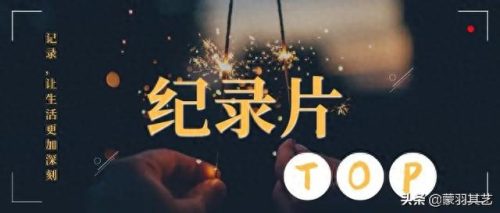 央视十大优秀纪录片排行榜(央视十部顶级纪录片)插图4