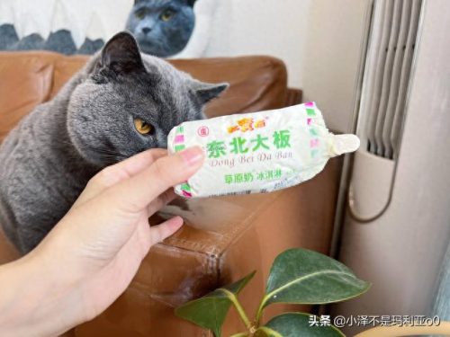 十大高价雪糕排行榜实体店(十大宝藏雪糕盘点)插图30 十大高价雪糕排行榜实体店(十大宝藏雪糕盘点)插图30