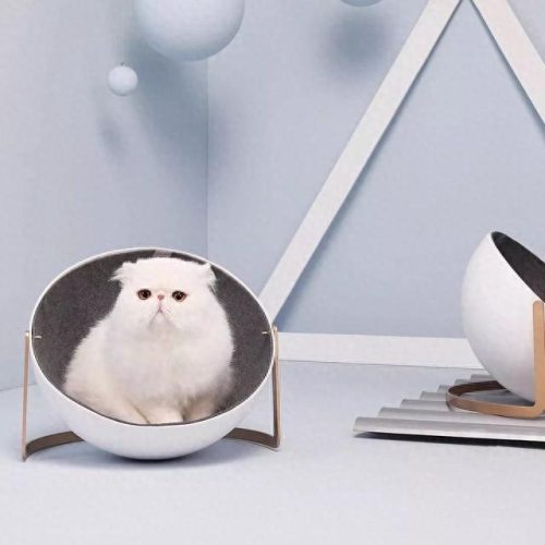 中国猫窝垫十大品牌排行榜(中国猫窝垫十大品牌)插图36 中国猫窝垫十大品牌排行榜(中国猫窝垫十大品牌)插图36