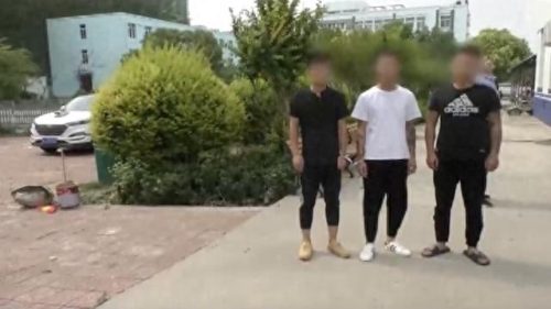 泗县十大网红排行榜视频(泗县十大高档小区)插图