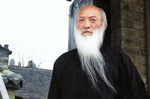 十大不火功夫明星排行榜(功夫明星蘑菇头是谁)插图7