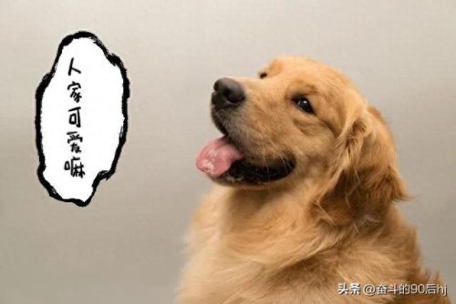 农场赚钱游戏十大排行榜(农场赚钱版游戏大全)