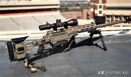 武器排行榜十大狙击枪图片(塞维奇狙击枪排行榜)插图8