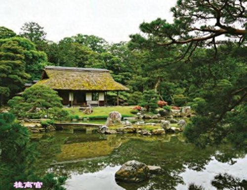 日本十大茶庭排行榜图片(日本茶庭)插图8