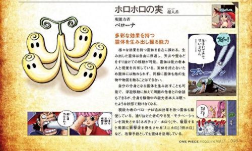 海贼王恶魔果实(海贼王恶魔果实大全)插图3