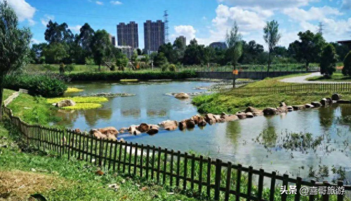 深圳北站附近景点排名前十(深圳火车站附近景点有哪些)插图11
