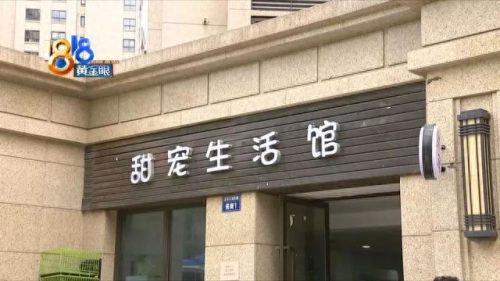 上城区天然猫粮排名前十(布偶猫专用猫粮排名)插图1