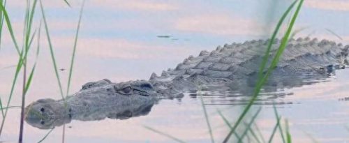 世界经济最穷国家排名前十(世界10大最穷国家排行榜)插图32