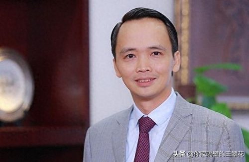 越南前十大富豪排行榜图片(越南富豪榜名单)插图5