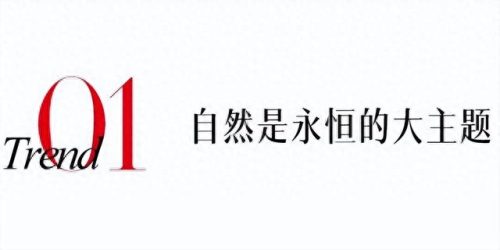 世界戒指设计师排名前十(戒指设计师前十名)插图4