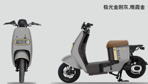 电动车十大品牌质量排行榜(正规十大名牌电动车)插图4