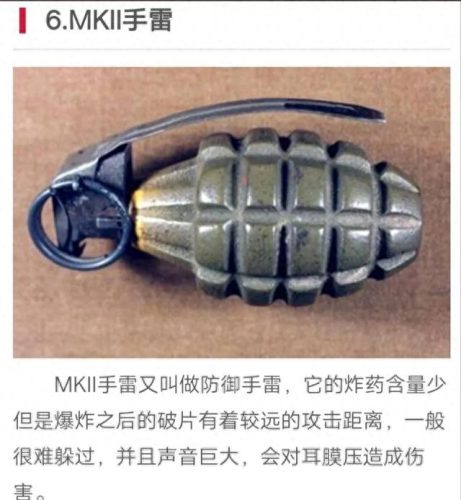 世界十大禁用手雷排行榜(十大禁用武器排行榜)插图1