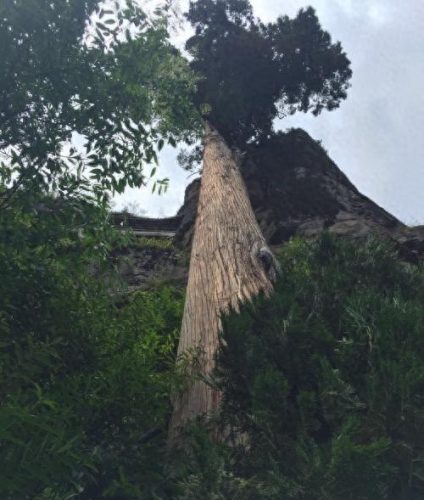 剑川县十大山峰排行榜(剑川美)插图3 剑川县十大山峰排行榜(剑川美)插图3