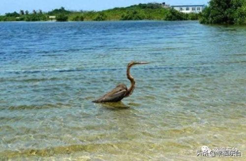 盐城品质硅藻泥排名前十(盐城耐用硅藻泥哪家好)插图8 盐城品质硅藻泥排名前十(盐城耐用硅藻泥哪家好)插图8