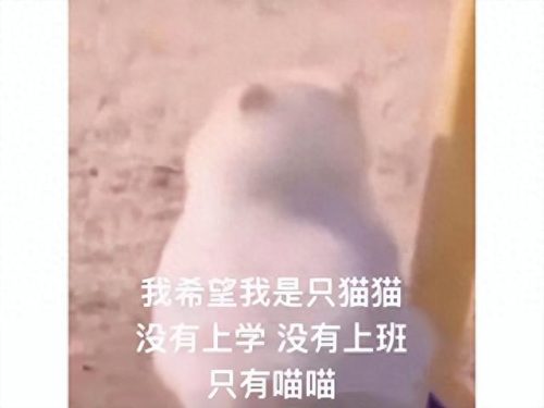 ps4十大沙盒排行榜(最近好玩的ps4介绍)插图 ps4十大沙盒排行榜(最近好玩的ps4介绍)插图