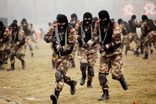 特种兵训练学校排名前十(特种兵学校动画片)插图16