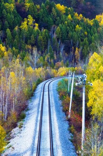 人像摄影十大城市排行榜(全国十大摄影城市)插图14 人像摄影十大城市排行榜(全国十大摄影城市)插图14