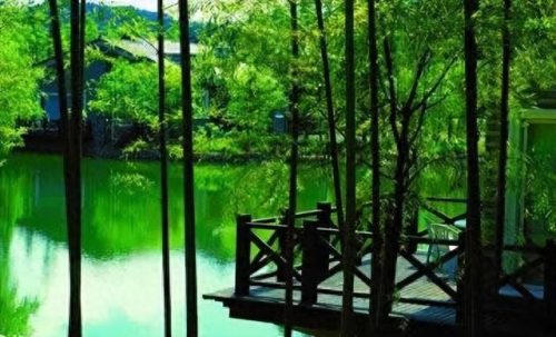 中国十大竹海景区排行榜(中国竹海景点排名前十名)插图14 中国十大竹海景区排行榜(中国竹海景点排名前十名)插图14