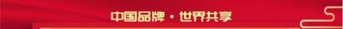 国标电动汽车电池排名前十(48v国标车能装60v电池吗)插图