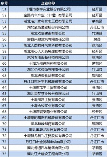 竹溪十大企业排行榜前十名(东西湖十大企业排名)插图3