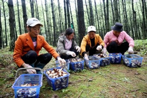 威宁家具公司排名前十(在威宁买家具去哪里)插图5 威宁家具公司排名前十(在威宁买家具去哪里)插图5