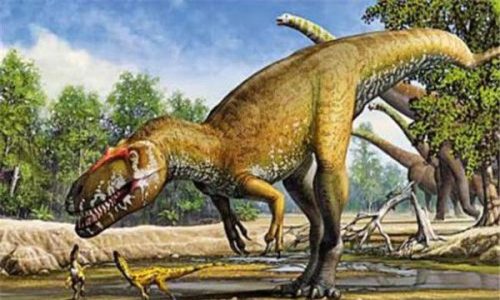 蛮龙vs南方巨兽龙(马普龙一口咬死蛮龙)