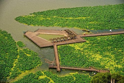 十大热门地方城市排行榜(全国gdp倒数十大城市排名)插图25