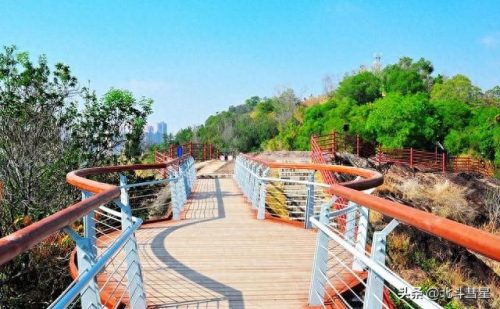 广东好玩的景点排名榜前十(广东有什么好玩的景点排行榜)插图48